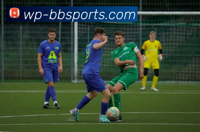 BBSport体育APP下载品牌故事