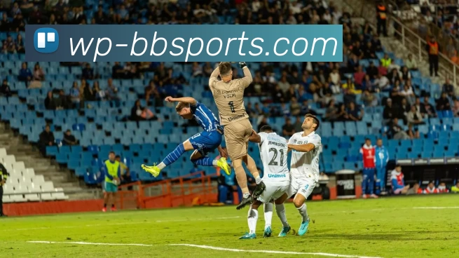 BBSport体育APP下载服务体系